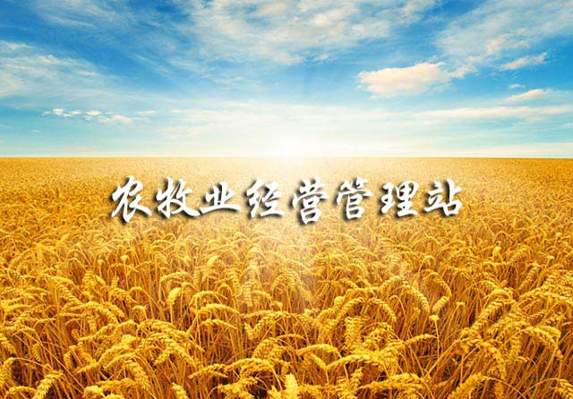 呼和浩特市賽罕區農業經營管理站